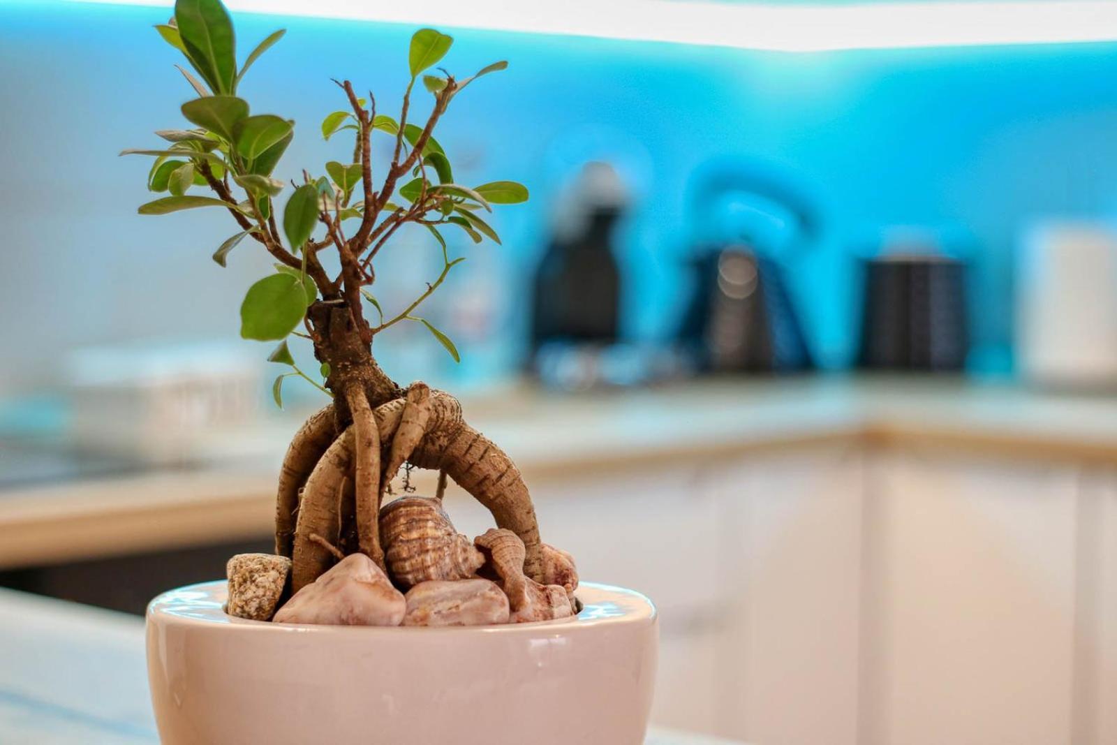 Relaxation Station - My Charming, Cosy&Inviting Apt - Smart Thermostat - Private Parking - Ior Park - Long Term Price Cuts Бухарест Экстерьер фото